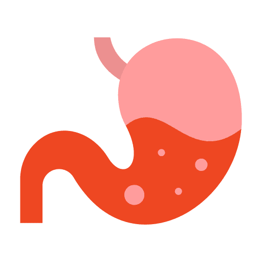 stomach png
